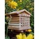 Solitary Bee Hive (Wildlife World)