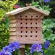 Solitary Bee Hive (Wildlife World)