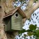 New England Nest Box (Wildlife World)