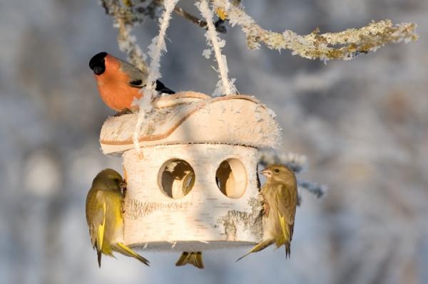 Birch bird feeder - handmade from natural silver birch - FSC certified