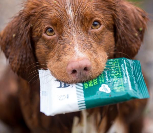 Hownd ‘Yup You Stink!’ Emergency Dog Wipes