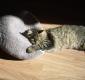 Felted wool cat cave cocoon Kivikis SAND BROWN