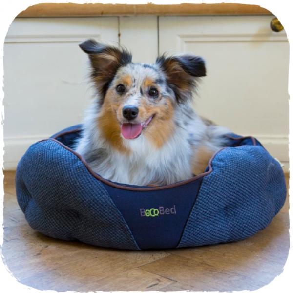 extra small dog bed