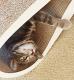 Lui Cat Scratcher / Bed / Lounger - eco-friendly dense board - BROWN