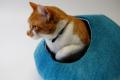 Felted wool cat cave cocoon Himalaya - Turquoise - hand made in Nepal